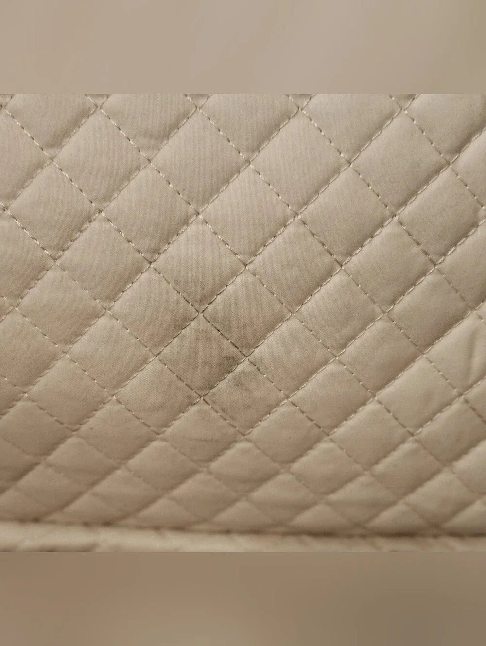 Bagsmart Quilted 17.3